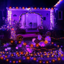2 Pack 400 LED Solar String Lights, 8 Modes Solar String Lights for Outside, Waterproof and Solar Powered Outdoor String Lights for Holiday Christmas Yard Garden Tree Wedding Party (Orange Purple) by GreenHaven Gardens