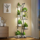 62" Tall Plant Stand with Grow Light Indoor, 7 Tiered Metal Plant Shelf Bookshelf, Curved Corner Flower Stand Display Storage Rack Holder for Living Room, Balcony Decor by GreenHaven Gardens