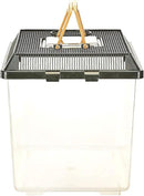 Exo Terra Faunarium, Plastic Reptile Terrarium, Medium, PT2260 by CozyNest Decor