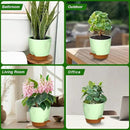 Uneed Indoor Self Watering Planters with Drainage Holes and Saucers, 7/6.5/6/5.5/5 Inch-5 Pots,for Indoor Plants, Herbs, Succulents-Green by CozyNest Decor