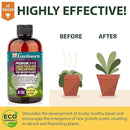 Premium Liquid Citrus Tree Plant Fertilizer - 3-1-2 Concentrate for Indoor Plants and Flowers by Gardenera | Organic Plant Food for Citrus Trees - 32oz by GreenHaven Gardens