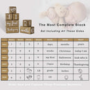 Baby Monthly Milestone Blocks for Boy or Girl, Milestones Age Photo Block Set for Baby Shower, Pregnancy Countdown, 7 Pcs by TinyTreasures Baby Boutique