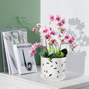 EFISPSS Orchid Pots with Holes, 7 Inch Orchid Pots with Drainage Holes and Tray, Indoor or Outdoor Ceramic Flower Pot for Orchid Care, Promoting Air Circulation and Drainage Plant Pot - White by GreenHaven Gardens
