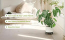 Zhongma 2 Pack 8.7" Sturdy Potted Plant Stand Flower Pot Holder Heavy Duty Construction, Low Plant Stand for Home Indoor and Outdoor, Sturdy plant riser and saucer without Installation Required by GreenHaven Gardens