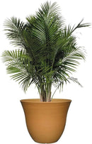 Classic Home and Garden Honeysuckle Resin Flower Pot Planter, Bamboo Brown, 15" by GreenHaven Gardens