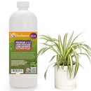 Premium Liquid Spider Plant Fertilizer - 3-1-2 Concentrate for Indoor Plants and Flowers by Gardenera | Organic Plant Food for Spider Plants - 32oz by GreenHaven Gardens