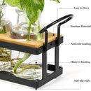 THYGIFTREE Plant Propagation Stations with Metal Stand, Tabletop Plant Terrarium for Propagating Hydroponic, Retro Glass Planter Flower Vase Home Kitchen Office Decor, Plant Lover Gifts, 5 Jars by GreenHaven Gardens
