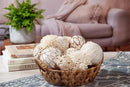 ANDALUCA Large Decorative Balls Bowl Filler Decor Orbs White & Cream (Natural White) by CozyNest Decor
