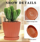Plastic Flower Pots, 5 Pack 6 inch Indoor Plant Pots Planters for Outdoor Plants Flowers Garden Patio Home Nursery Decor Gifts,Large Succulent Pots with Drainage Tray Saucer & Hole Terracotta by GreenHaven Gardens