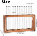 Desktop Glass Plant Propagation Station with 5 Test Tubes in Wooden Stand - Hydroponic Plants Cutting Office Home Decoration and Garden Decor Terrarium (5 Tubes) by CozyNest Decor