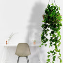 Hanging Baskets for Plants Outdoor(12 inch 4 Pack)- Coconut Coir Hanging Planters Outdoor,Metal Wire Baskets with Coco Liner, Hanging Pots for Plants Indoor, Flower Pots for Railings by CozyNest Decor