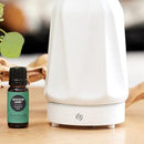 Edens Garden Concentration & Memory Essential Oil Blend- 100% Pure Premium Grade, Undiluted, Natural, Therapeutic, Aromatherapy, The Best for Diffusing, Kid Safe, Humidifiers, Skin 10 ml (.33 fl oz) by CozyNest Decor