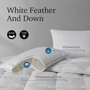 Hotel Grand Softy-Around Feather Down Pillows King Size Set of 2 Packs White Strip 100% Cotton Fabric Bed Pillows for All Position Sleepers,36"x20"/2 Packs by CozyNest Decor