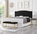 24KF Upholstered Tufted Button Velvet Headboard,Comfortable Fashional Headboard King/CA King Size,Black by CozyNest Decor