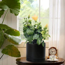 Aveyas 8 inch Ceramic Plant Pot with Drainage Hole and Saucer - Suitable for Indoor and Outdoor Use, Modern Planters for House Garden Flower Tree Snake Monstera Plants (8", Matte Black)