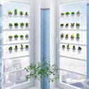 Clear Hanging Window Plant Shelves,2-Pack 4-Tier,Indoor Windows Wall Hanging Plant Stand Flower Display,Flower Pot Organizer Storage for Window Grow Herbs,Microgreens,Succulents,Flowe4,16-Inch by GreenHaven Gardens