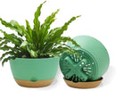 8 Inch Pots for Indoor Plants, Self Watering Planters with Drainage and Saucers, Plastic Outdoor Flower Pot, Set of 2, Green by GreenHaven Gardens