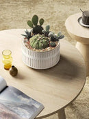 LE TAUCI Succulent Pots, 6.5+8 Inch Ceramic Indoor Plant Pot with Drainage Hole, Modern Round Decorative Flower Pot, Set of 2, Reactive Glaze White by GreenHaven Gardens