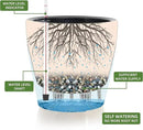 Dexceder 15x14 Self Watering Planter with Wheels Indoor Outdoor, Inner Pot Design, Thickened Large Floor Standing Flower Plant Pot with Water Level Indicator (White Gold Crackle) by GreenHaven Gardens