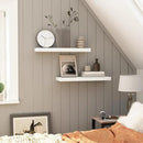 HOOBRO Floating Shelves for Wall, Wall Mounted Shelf Set of 2, 23.6" Hanging Shelf with Invisible Brackets, for Wall in Bathroom, Bedroom, Toilet, Kitchen, Living Room, Office, White WT60BJ01 by CozyNest Decor