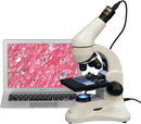 AmScope M120C-2L-PB10-E5 Digital Microscope, WF10x and WF25x Eyepieces, 40x-1000x Magnification, Brightfield, Upper and Lower LED Illumination, Plain Stage, Includes Blank and Prepared Slides, 5MP Camera and Software by TinyTreasures Baby Boutique