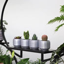 Mini Succulent Planter Set – 3.7 Inch Ceramic Pots with Drainage for Indoor Plants, Small Decorative Flower Pots for Cactus and House Plants, Set of 4 by CozyNest Decor