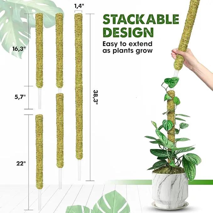 DUSPRO Natural Stackable Moss Pole for Plants Monstera Potted Plant Stakes for Indoor Plants Extendable Plant Pole Moss Sticks for Plants Climbing Vine Supporting Monstera Trellis 10Pcs 22'', photo 4 of 7