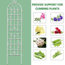 2 Pack Metal Garden Trellis 71" H Fence Rustproof Garden Trellis for Climbing Plants Support Roses Flower Outdoor Lawn, Cream White by GreenHaven Gardens