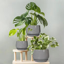 G EPGardening Modern Ceramic Planter - 7 Inch Round Modern Plant Pot Indoor with Drainage and Ceramic Tray Indoor Outdoor for Flower, Vanity Decor, Birthday Gifts, Grey by GreenHaven Gardens