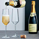 Amazing Abby - Stella - 8-Ounce Unbreakable Tritan Champagne Flutes (Set of 6), Plastic Wine Glasses, Reusable, BPA-Free, Dishwasher-Safe, Perfect for Poolside, Outdoors, Camping, and More by CozyNest Decor
