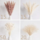 Natural Dried Pampas Grass Decor, 100 PCS Pampas Grass Contains White Bunny Tails Dried Flowers, Reed Grass Bouquet for Wedding Boho Flowers Home Table Decor, Rustic Farmhouse Party by CozyNest Decor