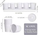 SCANDINORDICA White Herb Planter 5 Pots with Drainage Holes and Tray, Windowsill Planter, Indoor/Outdoor Herb Pots by GreenHaven Gardens