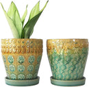 6 Inch Ceramic Planter with Drainage Hole and Saucer for Plants, Indoor-Outdoor Large Round Succulent Orchid Flower Pot, Set of 2 by GreenHaven Gardens