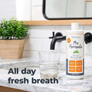 Oxyfresh Pro Formula Fresh Mint Mouthwash – Patented Zinc Mouthrinse for Fresh Breath & Soothing Gums – Dye Free, Fluoride Free, Alcohol Free Mouthwash – 3 Bottles, 16 oz. ea. by CozyNest Decor