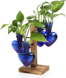 Plants Propagation Stations Plant Terrarium Kit Glass Planters for Indoor Plants House Plant Accessories Gift for Women - 4 Love Vase by GreenHaven Gardens