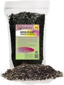 Hoya Plant Premium Potting Mix - 5 Quart - Optimal Balance for Thriving Hoyas: Air, Moisture, and Nutrient Retention by GreenHaven Gardens