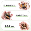 SIDONG 10 LB Mixed River Rocks, 0.3-0.5 Inches High Polished Pebbles for Indoor Plants, Aquarium Rocks Used in Fish Tank, Decorative Stones for Plants, Vases, Home Décor, Crafting, Garden Landscaping by GreenHaven Gardens