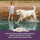 Nature's Core Muck Removal Tablets Natural Pond Sludge Remover, Cleans & Clears Away Muck & Sludge, Safe for The Environment, Treats 1,500 Sq Ft, 3 Month Supply, 8 Scoops, 4 lb by GreenHaven Gardens