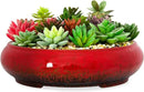 ARTKETTY Succulent Pots - 11.5 Inch Ceramic Bonsai Pots with Drainage, Large Shallow Succulent Planters for Indoor Outdoor Plants, Round Glazed Cactus Flower Plant Container Bowl Home Desk Decor(Red) by GreenHaven Gardens