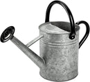 Metal Watering Can, One Gallon Watering Cans Stainless Steel for Outdoor Indoor Garden Plants Watering (Silver 1 Gallon) by GreenHaven Gardens
