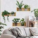 Green Plant Wall Decals 3D Bonsai Tropical Plant Wall Sticker Creative Vinyl Peel and Stick Removable Wall Art Decor for Living Room Bedroom Home Office (Tropical Plant 01) by TinyTreasures Baby Boutique