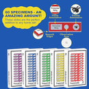 60Pcs Prepared Microscope Slides Specimen Animals Insects Plants Flowers Sample Biological Specimen, Stereo Microscope Slide for Kids Children Students Enlighten Education by TinyTreasures Baby Boutique