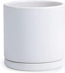 D'vine Dev 8 Inch Ceramic Planter Pot with Drainage Hole and Saucer, Indoor Cylinder Round Planter Pot, White, 94-O-D-1 by GreenHaven Gardens