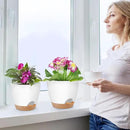 Plant Pots 8/7/6.5/6/5.5/5 Inch Self Watering Pots, Set of 6 Plastic Planters with Drainage Holes and Saucers,Plastic Flower Pots,Nursery Planting Pot for Indoor Out Door Plants（White） by CozyNest Decor