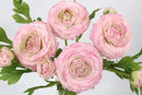 IPOPU 4PCS Real Touch Purple Ranunculus Artificial Flowers Faux Ranunculus Flowers for Vase Real Look Silk Peonies Fake Peony Flowers for Home Indoor Wedding Centerpieces for Table Decor (Purple Edge) by CozyNest Decor