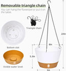 QCQHDU 2 Pack Hanging Planters for Indoor Outdoor Plants, 8 Inch Hanging Baskets Flower Pots with Reservoir Tray & Visible Water-Level by CozyNest Decor