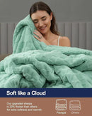 Pawque Super Soft Cozy Throw Blanket Queen Size for Couch Bed, Fluffy Sherpa Fleece Reversible Thick Warm Fuzzy Blanket for All-Season, 3D Checkered Jacquard Decorative Blankets, Sage Green, 90"x90" by CozyNest Decor