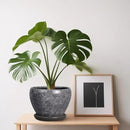 Ceramic Planter - 6 Inch Plant Pot with Drainage Hole and Saucer, Succulent Pot Glaze Round Flower Pot for Indoor Outdoor Plants, Gray by GreenHaven Gardens