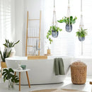 Small Hanging Planters Self Watering 5 Inch, 3 Set Hanging Plant Pot for Indoor Outdoor Plants, Hanging Flower Pots with Drainage Hole & 2 Kinds of Plant Hangers for Garden Home Decor by GreenHaven Gardens