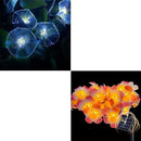 Solar Flowers Outdoor Waterproof - Petunia Blue Morning Glory Flowers&Solar Moth Orchid String Lights 12.5ft 10 LED Phalaenopsis Flower Solar Fairy Lights by GreenHaven Gardens
